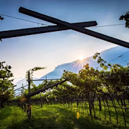 Strahlender Sonnenschein im Trentino