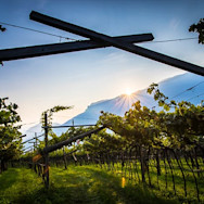 Strahlender Sonnenschein im Trentino
