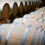 Barriquefässer wohin das Auge reicht im Keller von Alois Lageder
