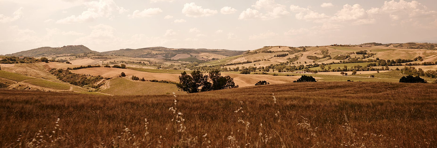 Toskanas Hügellandschaft von der schönsten Seite präsentiert mit seinen vielen Rebflächen und Winzern