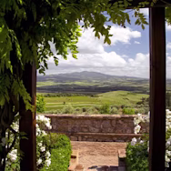 Weitsicht über die Reben von Banfi in der Toskana