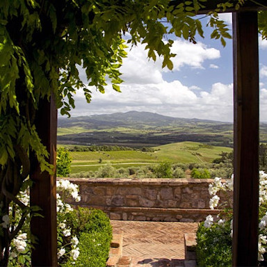 Weitsicht über die Reben von Banfi in der Toskana