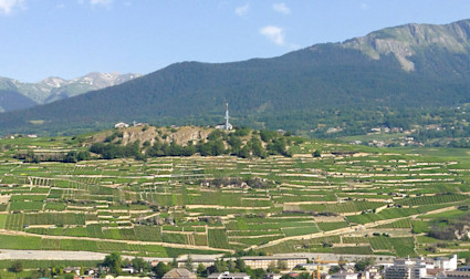 Rebberge im Wallis so weit das Auge reicht