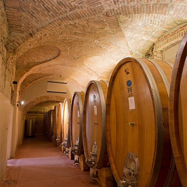 Grosse Holzfässer im Weinkeller von Prunotto