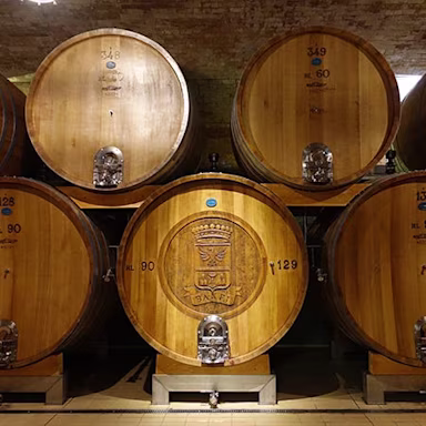 Barriquekeller von Banfi in der Toskana