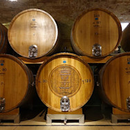 Barriquekeller von Banfi in der Toskana
