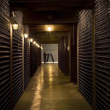 Schaumweinflaschen so weit das Auge reicht