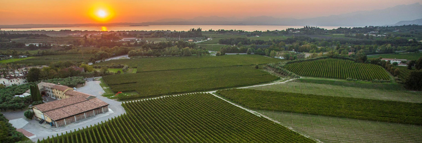 Blick über die Weite der Masi Agricola in Venetien