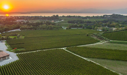 Blick über die Weite der Masi Agricola in Venetien
