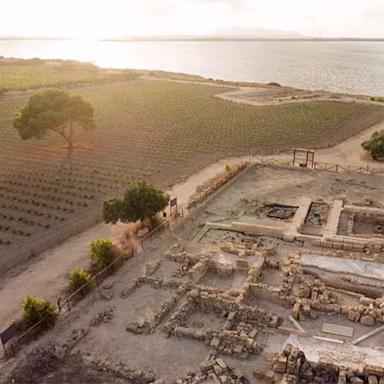 Blick auf die Ruinen und den Rebberg der Insel Mozia
