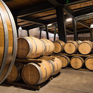 Die Weine werden alle im selben Keller in der Nähe von Ancona gelagert