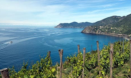 Aus dieser am Mittelmeer gelegenen Region stammt der süffige Pigato-Weisse.