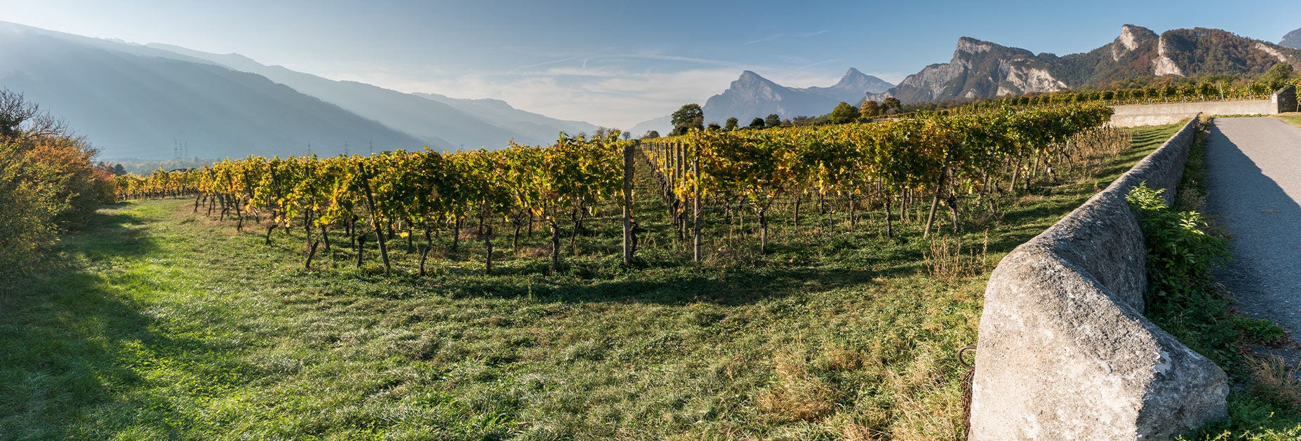 img-692f406268e5532b62a0abc4d556cf68