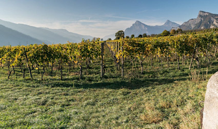 img-692f406268e5532b62a0abc4d556cf68