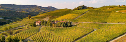 Herbstliche Stimmung über den Rebflächen des Weinguts Poderi Colla