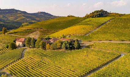 Herbstliche Stimmung über den Rebflächen des Weinguts Poderi Colla