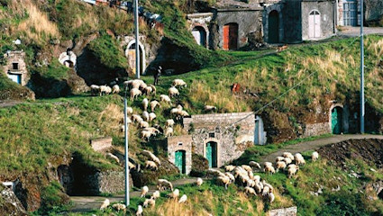 Die vulkanischen Böden behagen vor allem der autochthonen Rebsorte Aglianico.