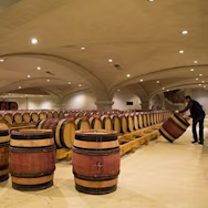 Grosser Barriquekeller auf dem Weingut Vidal-Fleury