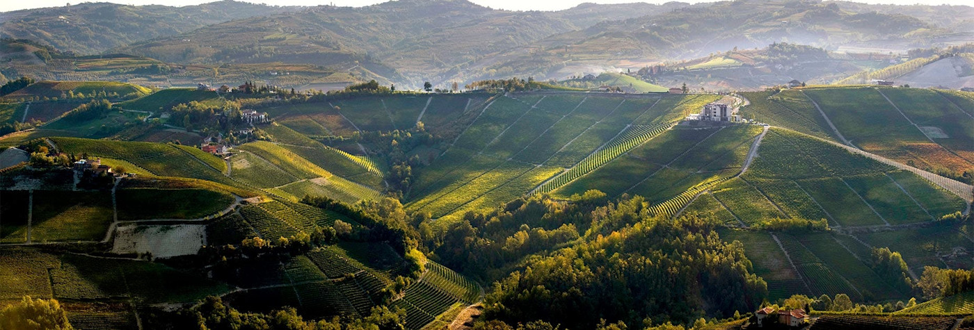 Imposante Hügellandschaft, worauf die Reben des Produzenten Beni di Batasiolo wunderbar gedeihen