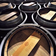 Barriquefässer der Tenuta San Guido