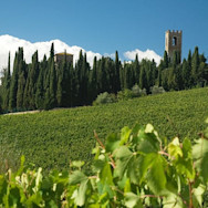 Rebfläche vor den alten Klostermauern, welches heute zur Lagerung der Weine dient