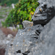 Blick auf die Trockensteinmauer auf dem Weingut Plozza in der Lombardei