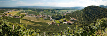 Blick über die wunderschönen Rebbergen im Valdobiadene