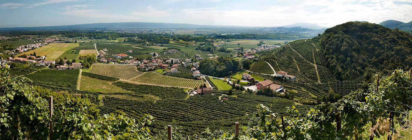 Blick über die wunderschönen Rebbergen im Valdobiadene
