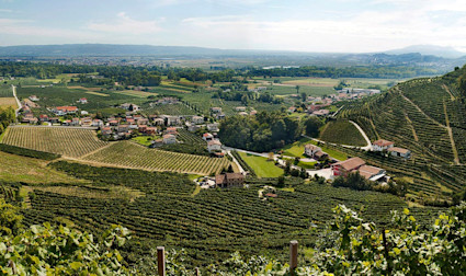 Blick über die wunderschönen Rebbergen im Valdobiadene