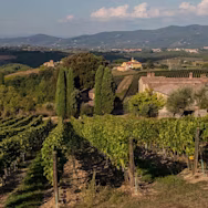 Hügelige Landschaft in der Toskana inmitten den Rebbergen von Pèppoli