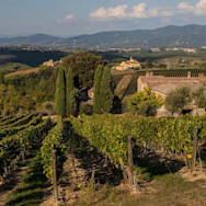 Hügelige Landschaft in der Toskana inmitten den Rebbergen von Pèppoli