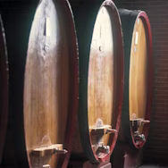 Grosse Holzfässer im Weinkeller von einem Produzenten von der Winzergenossenschaft Produttori del Barbaresco