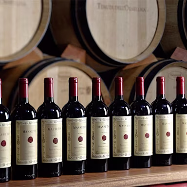 Massetoflaschen aneinander gereiht mit Barriquefässer im Hintergrund