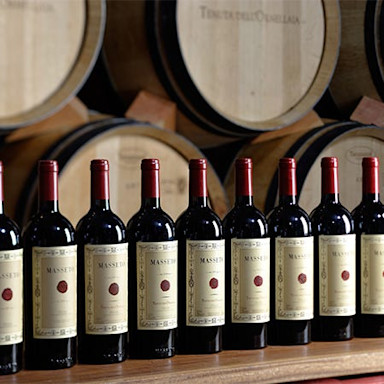 Massetoflaschen aneinander gereiht mit Barriquefässer im Hintergrund