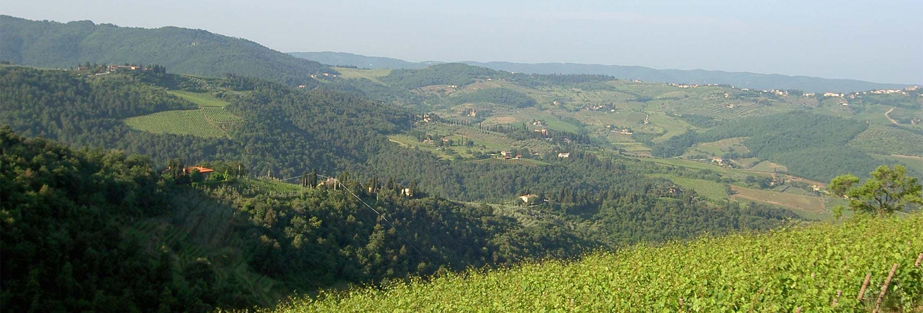 Hügelige Landschaft in der Toskana vom Weingut Podere Poggio Scalette
