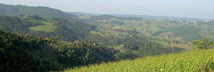Hügelige Landschaft in der Toskana vom Weingut Podere Poggio Scalette