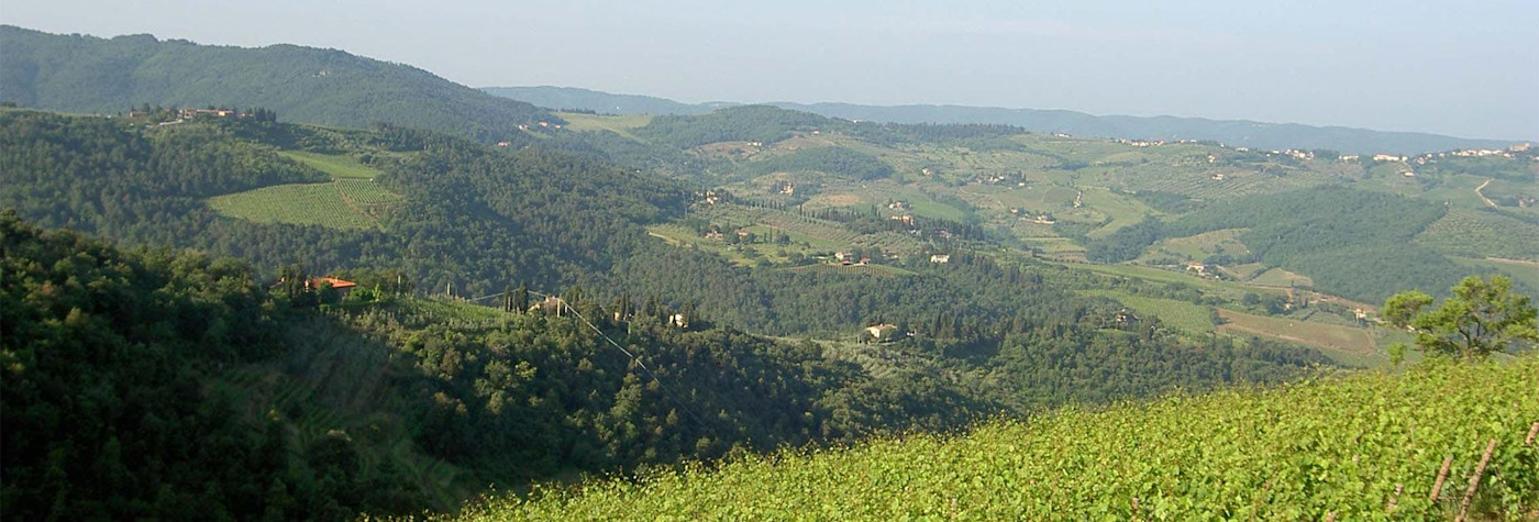 Hügelige Landschaft in der Toskana vom Weingut Podere Poggio Scalette