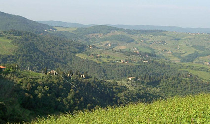 Hügelige Landschaft in der Toskana vom Weingut Podere Poggio Scalette