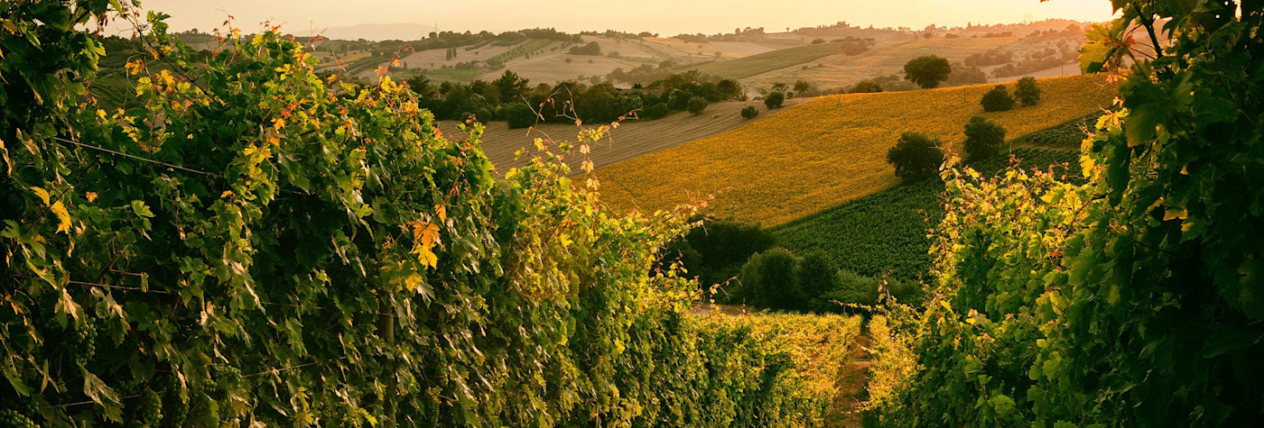 Herbstimmung an der Ostküste Italiens