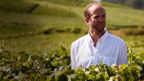 Edouard Labruyère, Directeur général