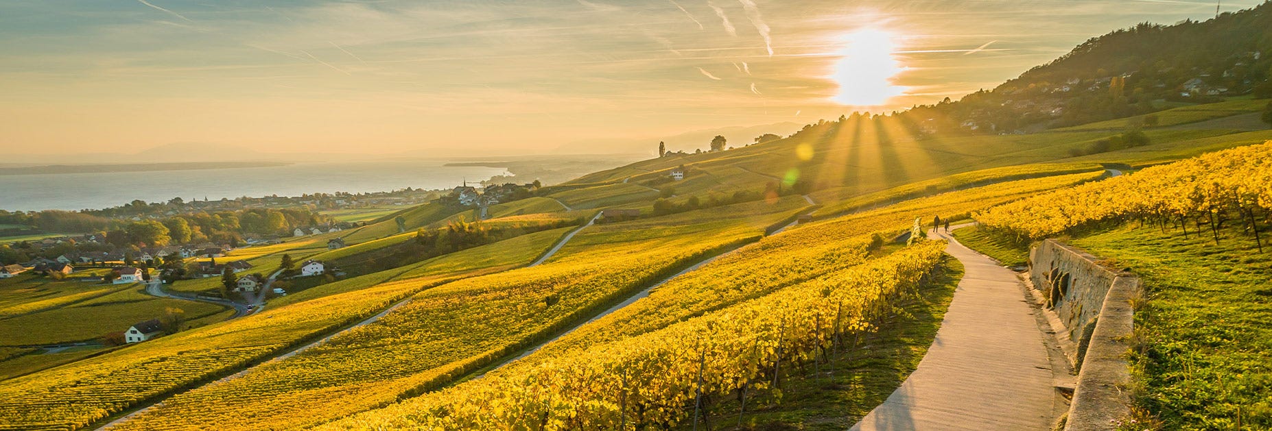 Sonnenuntergang über den Rebbergen in der Waadt