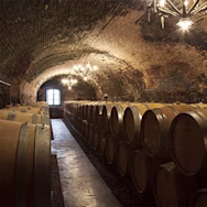 Der Barriquekeller im Castello della Sala ist wunderschön gewölbt