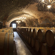 Der Barriquekeller im Castello della Sala ist wunderschön gewölbt
