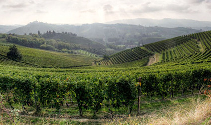 Imposante Wetterstimmung über den Rebbergen von Franco M. Martinetti