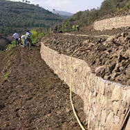 In den Rebbergen von Vis Amoris werden Trockensteinmauern gebaut