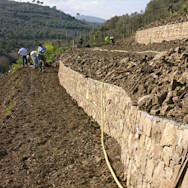 In den Rebbergen von Vis Amoris werden Trockensteinmauern gebaut