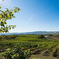 Sommertage an der Ostküste von Italien in den Abruzzen