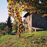 Herbstliche Stimmung auf dem Weingut Conti Bossi Fedrigotti