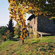 Herbstliche Stimmung auf dem Weingut Conti Bossi Fedrigotti
