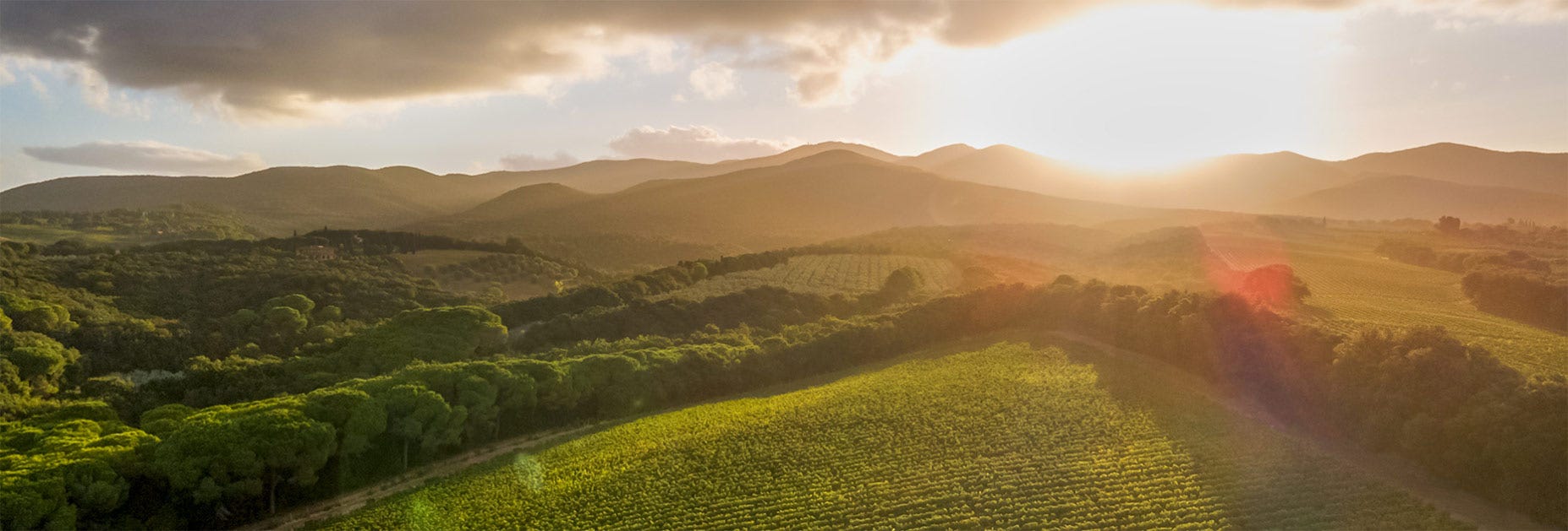 Blick auf die Tenuta del Nicchio